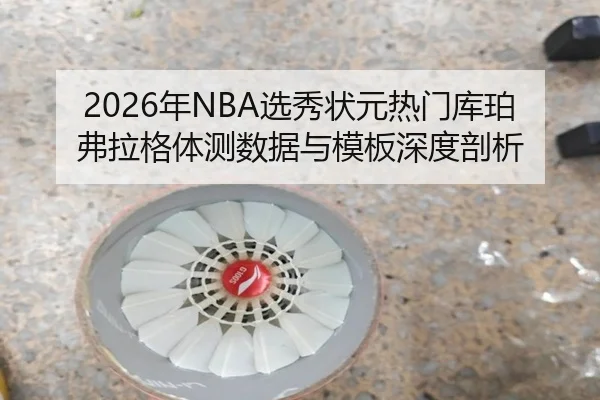 nian-xuan-xiu-zhuang-yuan-re-men-ku-po-fu-la-ge-ti-ce-shu-ju-yu-mu-ban-shen-du-pou-xi-2-786.jpg